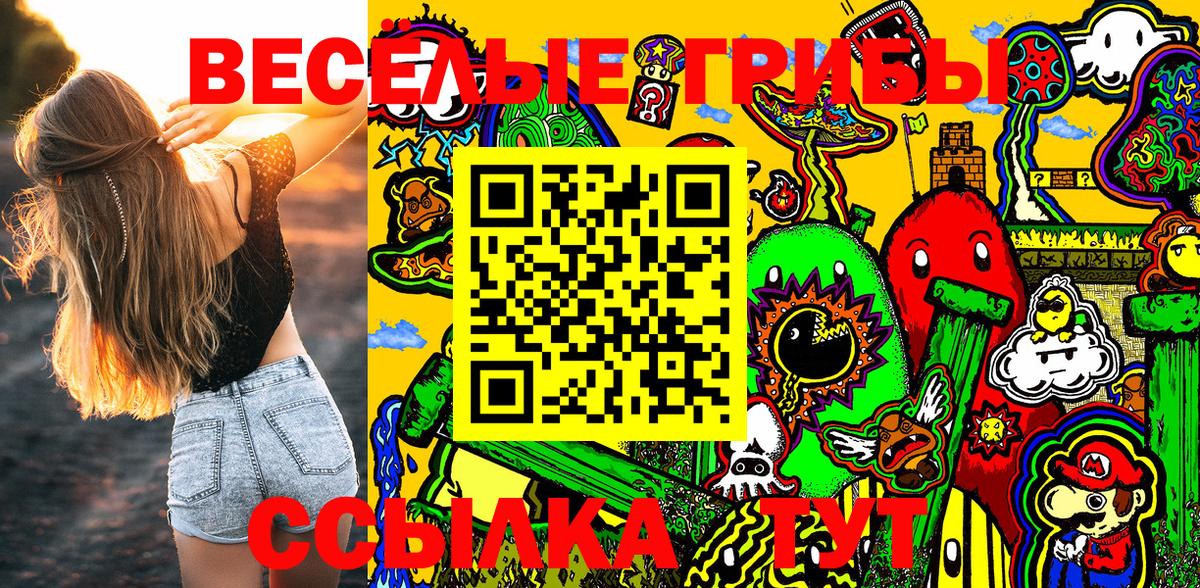 Псилоцибиновые грибы Psilocybe Знаменск