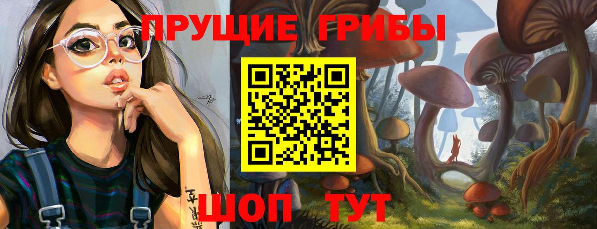Псилоцибиновые грибы MAGIC MUSHROOMS  Вход с VPN  Знаменск 